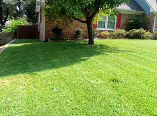 Kristen A.'s lawn care services service result