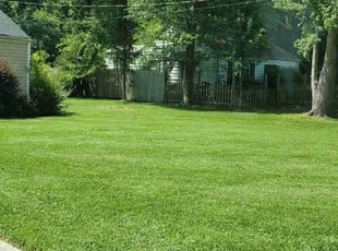 Susan S.'s grass cutting service result