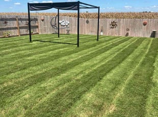 Aman B.'s turf maintenance service result