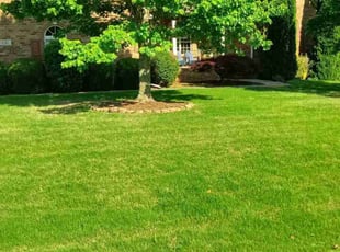 Phil H.'s lawn service service result