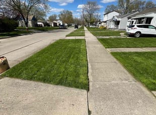 Kiley C.'s lawn care service result