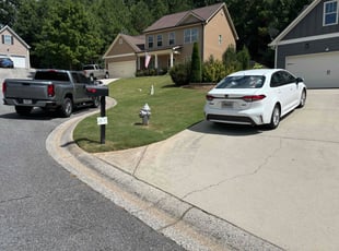 Shengwei T.'s lawn care services service result