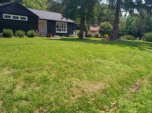 Brandon W.'s grass cutting service result