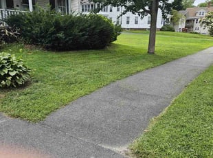 Gina G.'s turf maintenance service result