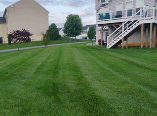 Geneva T.'s lawn care services service result