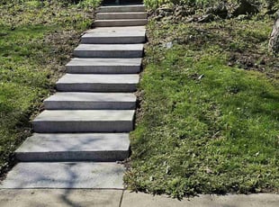 Jeff M.'s turf care service result