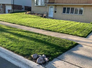 Melanie L.'s turf maintenance service result