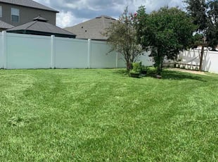 Shannon R.'s turf maintenance service result