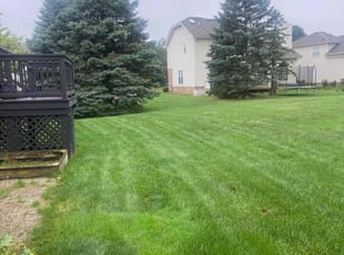 Kiersten M.'s turf care service result