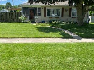 Daniel B.'s lawn service service result