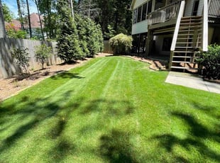 Amit D.'s lawn care service result