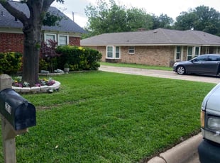 Rachelle S.'s turf care service result