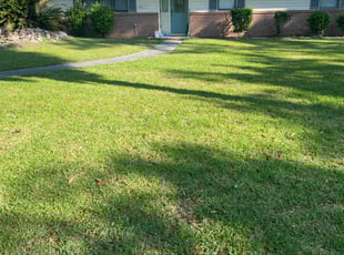 Ryan B.'s lawn service service result