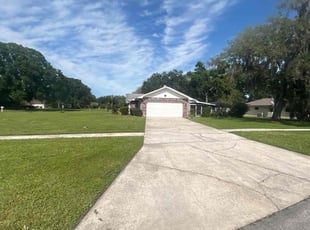 Lisa N.'s lawn maintenance service result