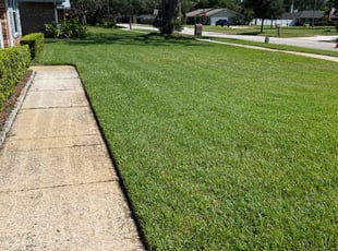 Nicholas W.'s lawn service service result