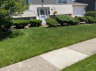 Craig V.'s lawn maintenance service result