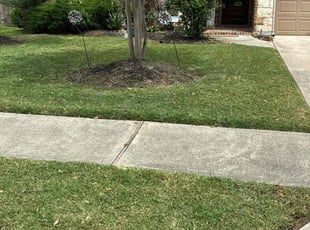 Nanci L.'s lawn care services service result