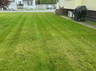 Laura D.'s lawn service service result