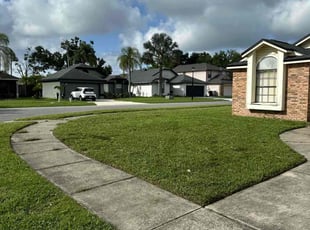 Martin F.'s lawn care services service result