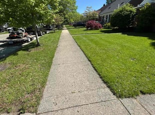 Karen E.'s lawn maintenance service result