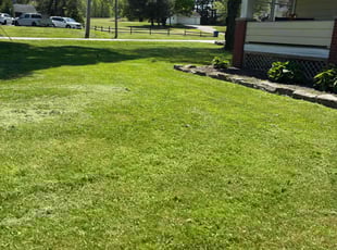 Brent P.'s lawn care services service result
