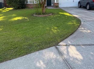 Ranabi G.'s grass maintenance service result