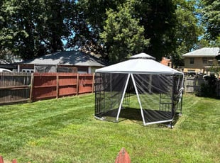 Larry C.'s grass cutting service result