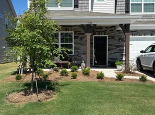 Waliy S.'s lawn care service result
