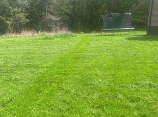 Patricia Y.'s lawn maintenance service result