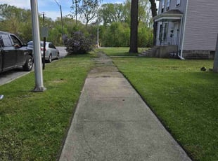 Nejib J.'s lawn service service result