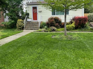 Megan C.'s lawn care services service result