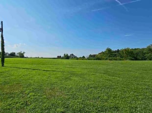 Joshua H.'s lawn care service result