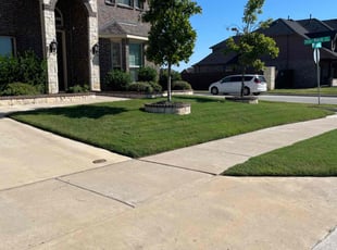 Rachael G.'s grass cutting service result