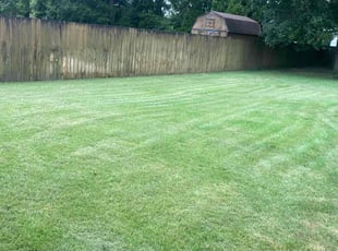 Amy M.'s Bush Trimming service result