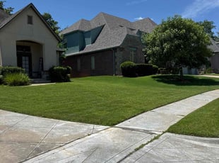 Fred E.'s lawn service service result
