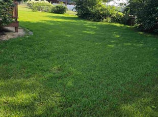 Ross M.'s lawn maintenance service result
