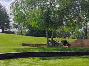 Michael H.'s turf care service result