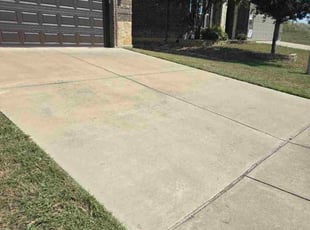 Bonnie S.'s grass cutting service result