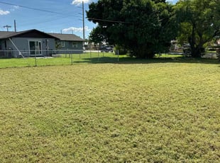 Erin D.'s lawn care service result