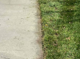 Cynthia M.'s turf care service result