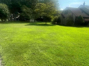 Purvis E.'s lawn maintenance service result