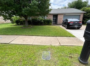 Latoya T.'s lawn care services service result