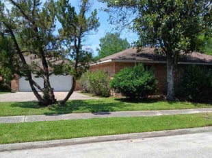 Jose L.'s turf care service result