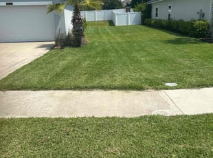 Ayana W.'s grass maintenance service result