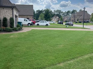 Ellen H.'s turf care service result