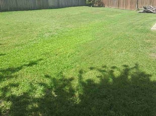Jerrie-Lynn H.'s lawn care service result