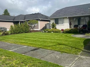 Tracey T.'s grass maintenance service result