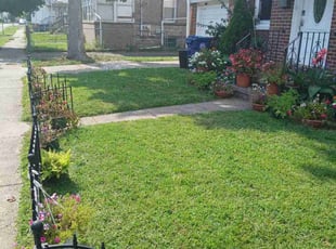 Jason K.'s turf care service result