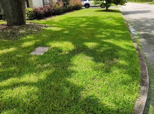 Pam D.'s turf maintenance service result