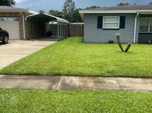 Mary J.'s turf maintenance service result